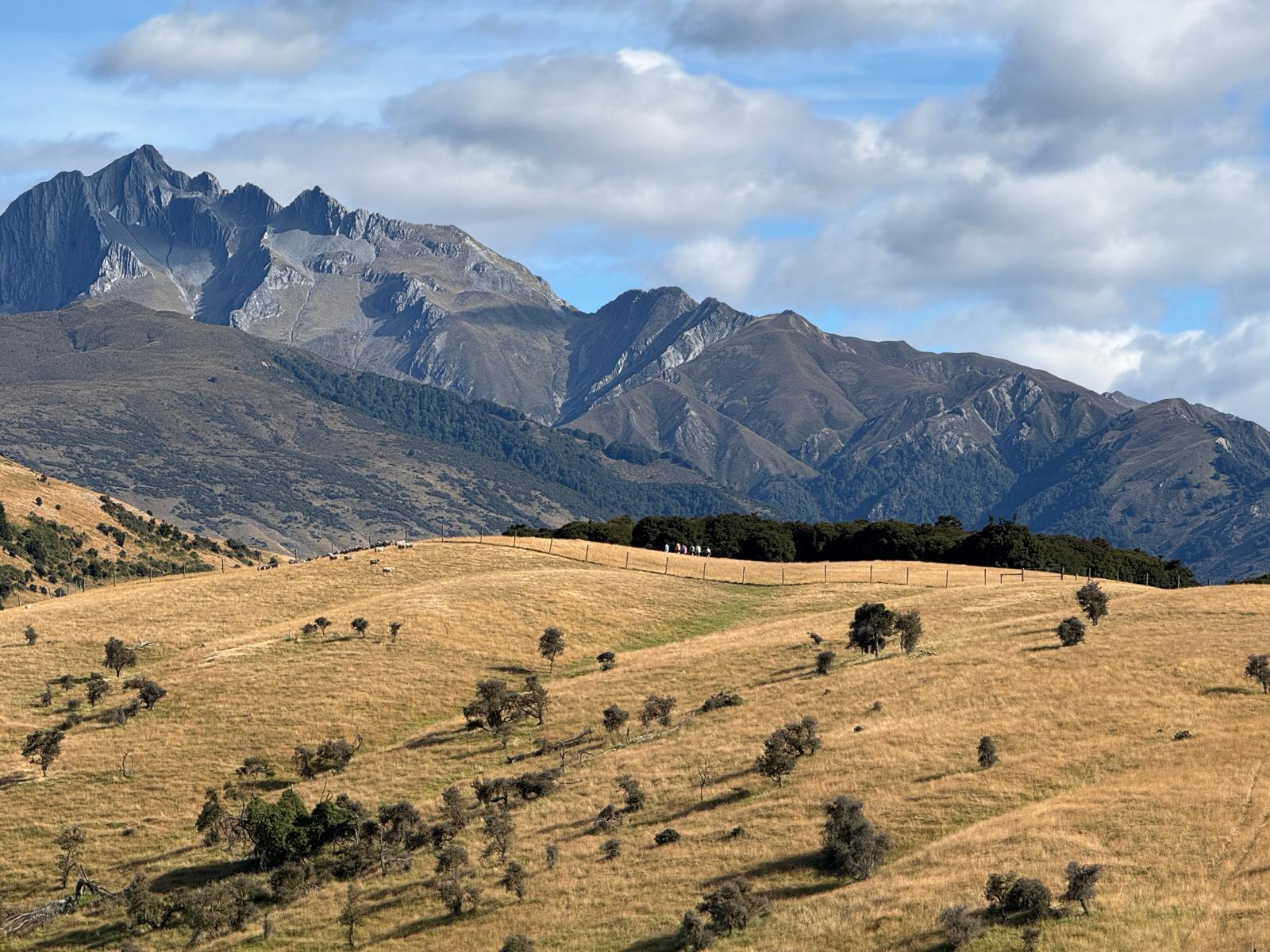 PHOTO-2025-02-12-18-22-65