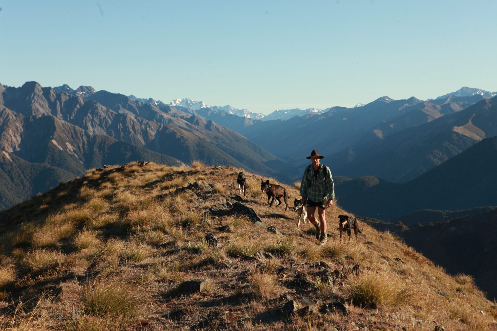 dingleburn station mountain accommodation